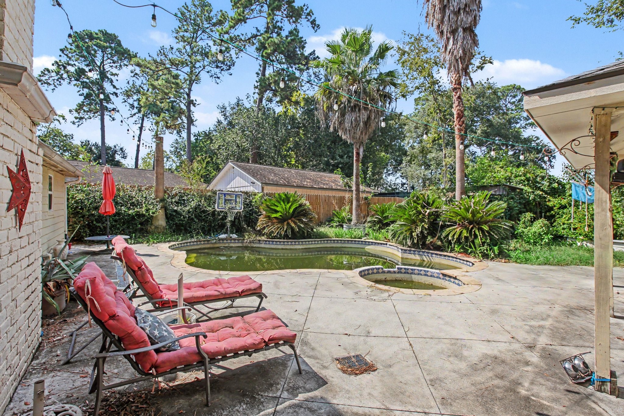 17807 Loring Lane Spring, TX 77388 - Photo 23 of 24 Mature palm trees, a covered patio, and the pool offer great potential