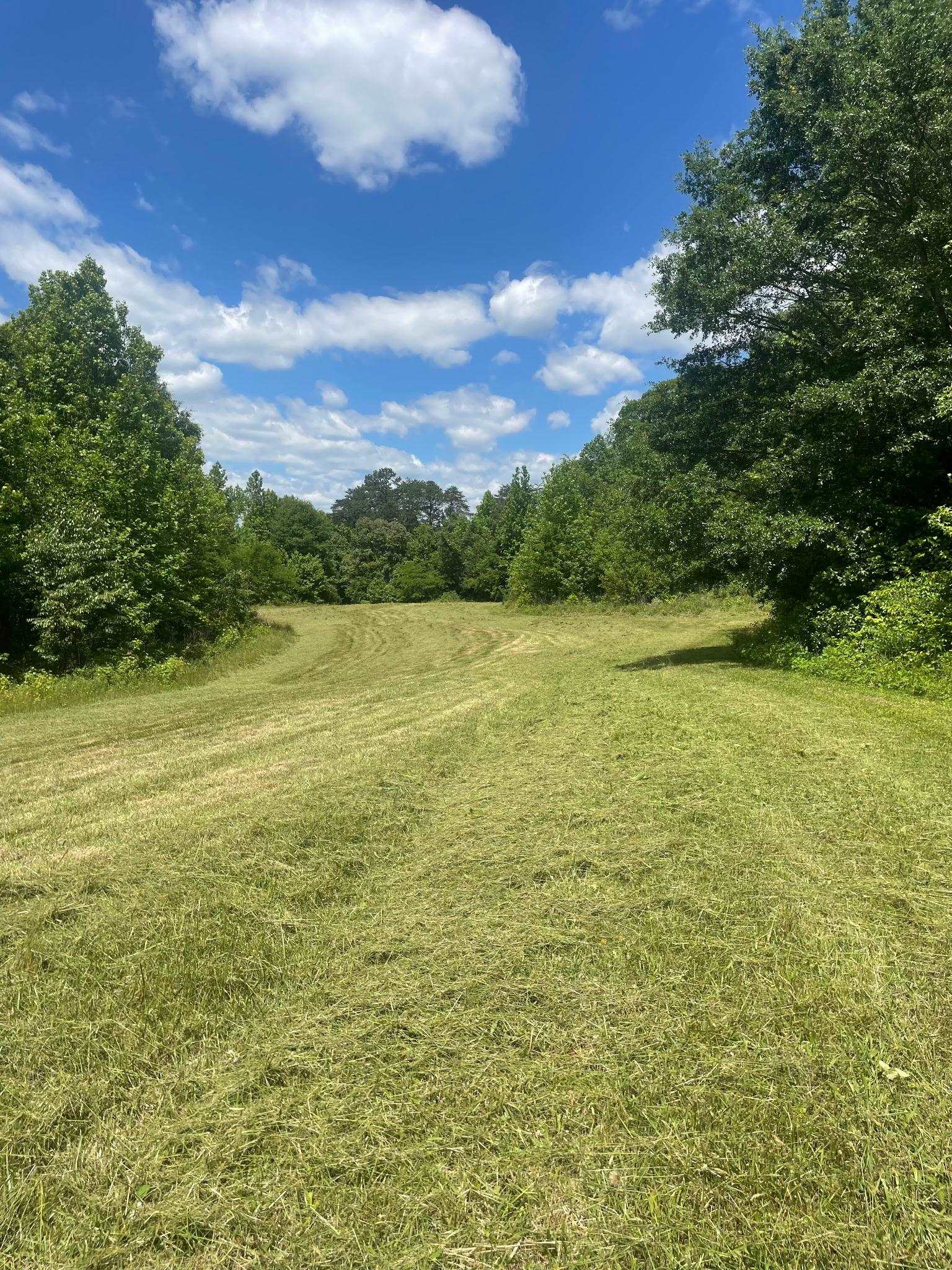 2440 Mt Lebanon Road Campobello, SC 29322 - Photo 36 of 41 Gallery Image 36