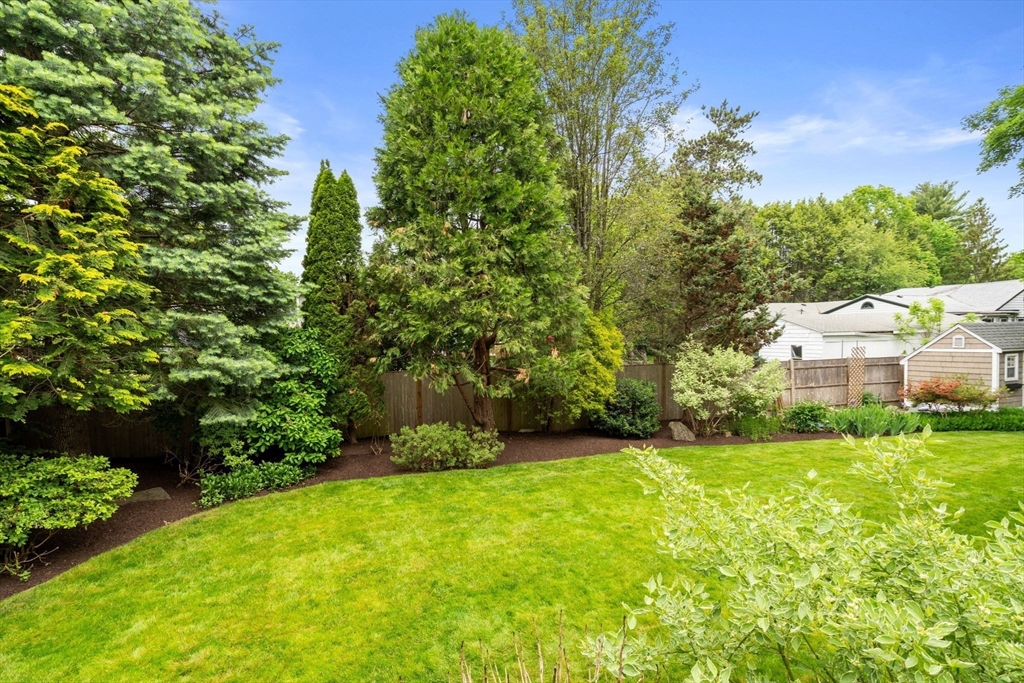 19 Carol Road Needham, MA 02492 - Photo 34 of 38