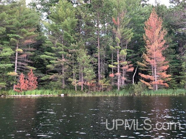 Tbd Mahskeekee Lake 33rd (co Rd 442) Road Wetmore, MI 49895 - Photo 2 of 5