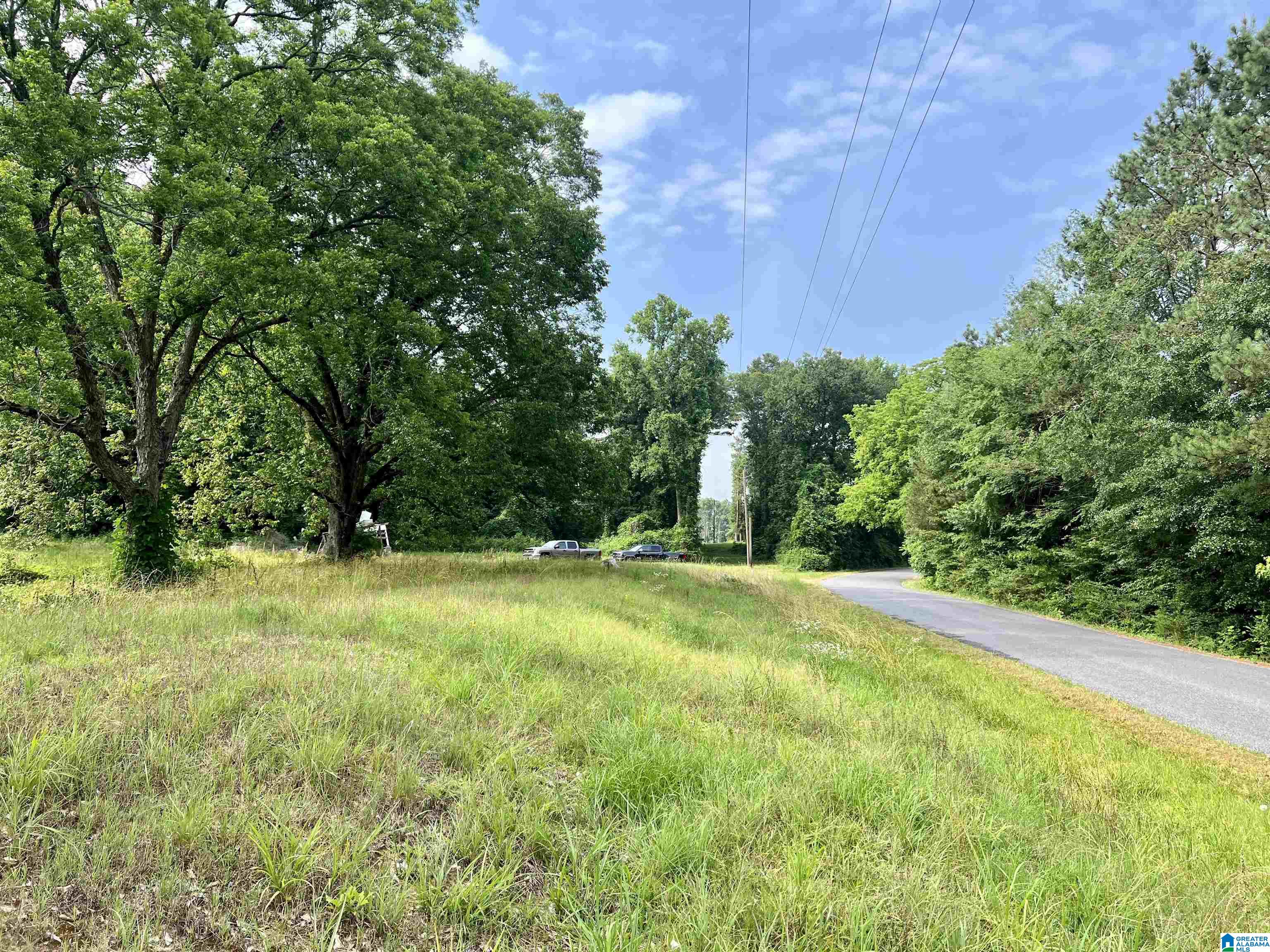 0 Fowler Springs Road, Unit 21 Blountsville, AL 35031 - Photo 16 of 24