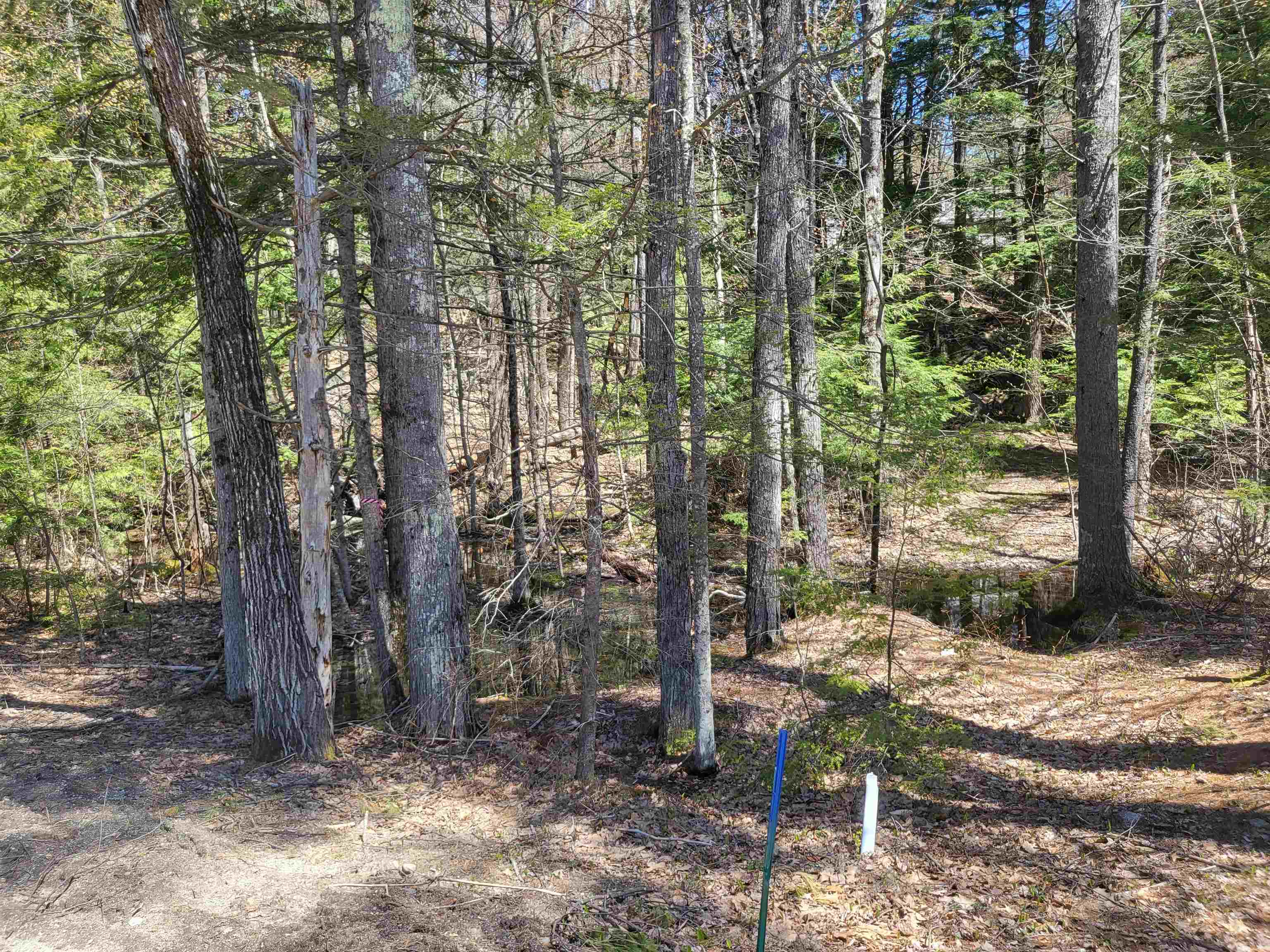 15 Red Pine Road, Unit 2 & 3 Meredith, NH 03253 - Photo 4 of 6 Gallery Image 4