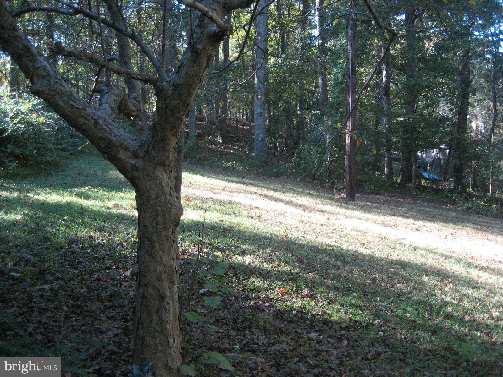 6043 Coon Tree Road The Plains, VA 20198 - Photo 28 of 30 Exterior (General)