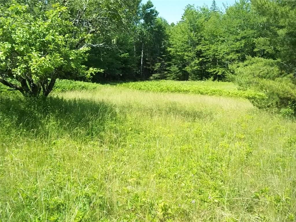 860 Golding Road Perry, ME 04667 - Photo 5 of 7 Photo