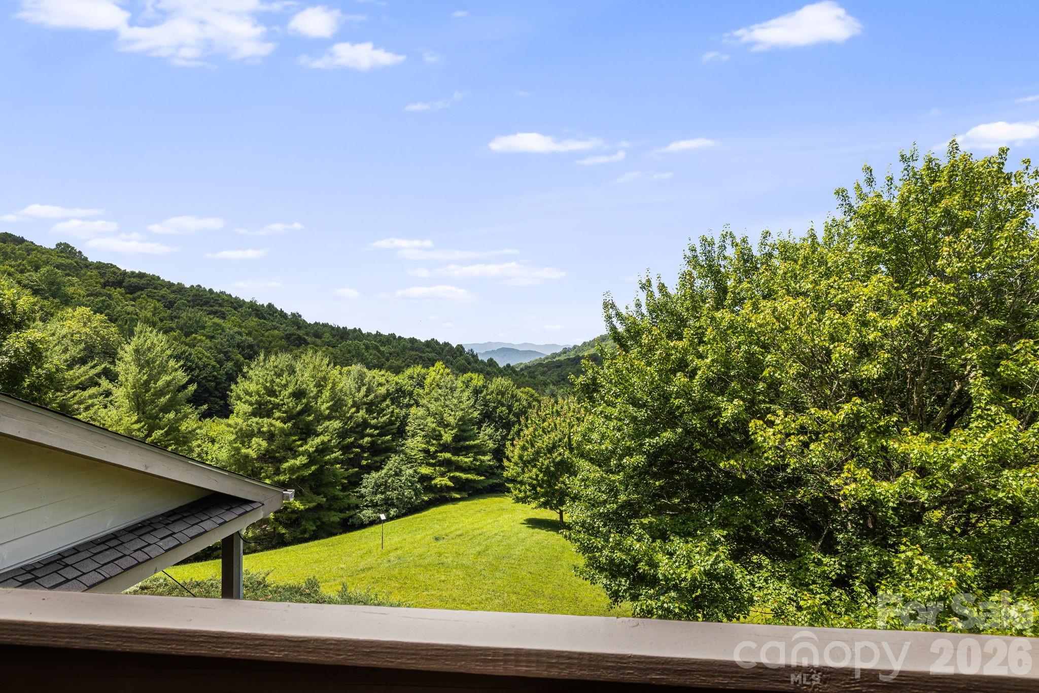 299 Basswood Road Hot Springs, NC 28743 - Photo 23 of 47