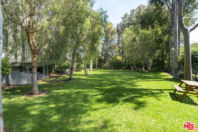 a view of a park with large trees