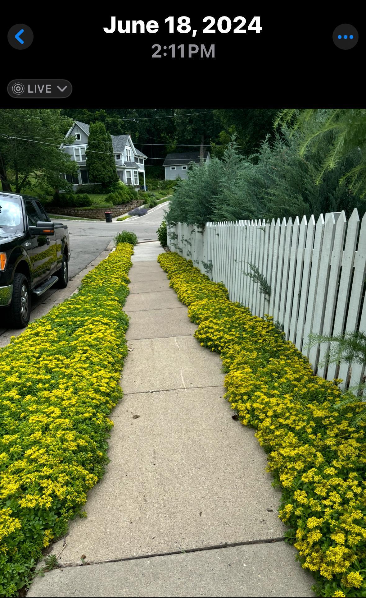 831 Central Avenue Red Wing, MN 55066 - Photo 28 of 59