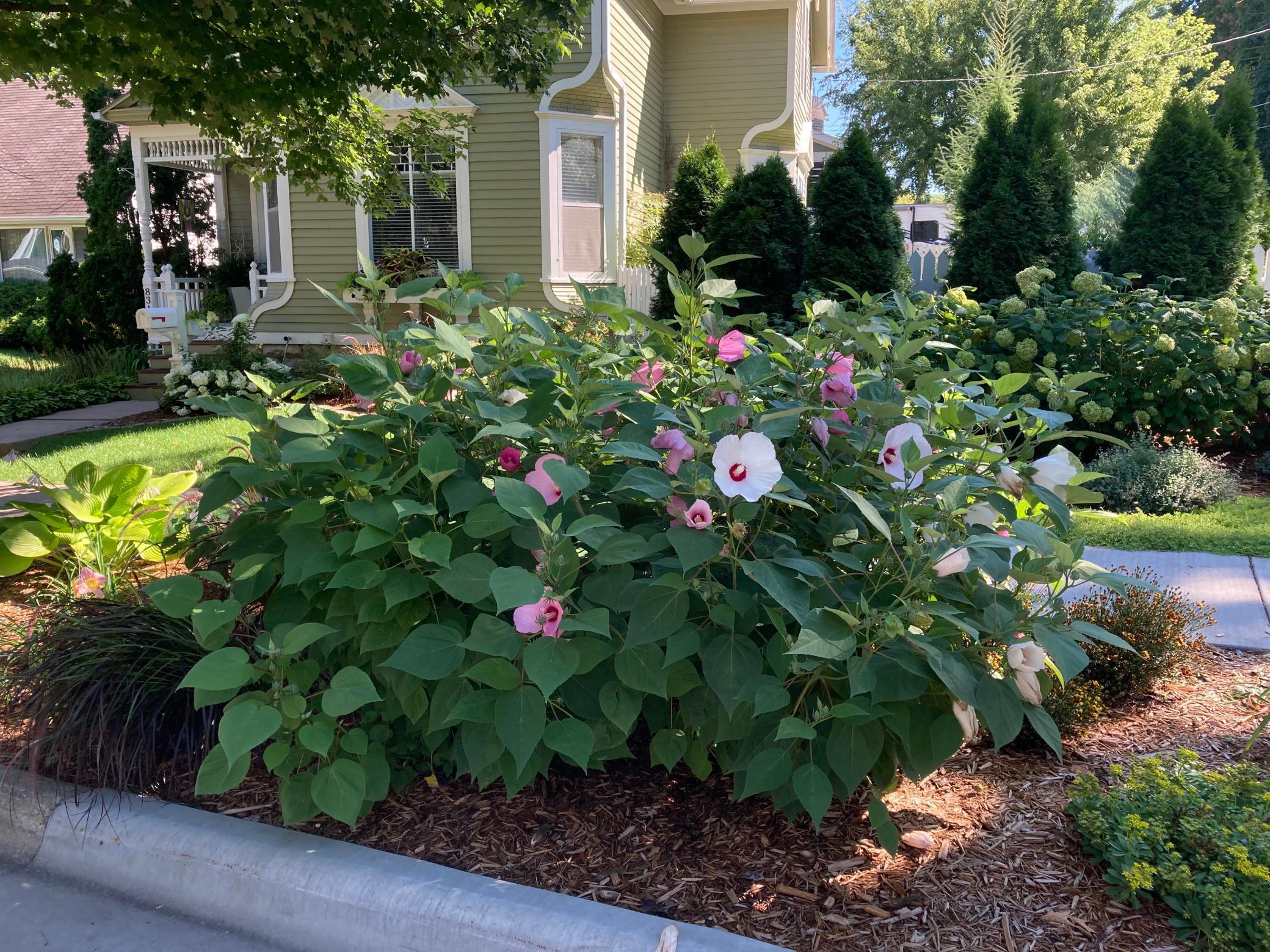 831 Central Avenue Red Wing, MN 55066 - Photo 30 of 59