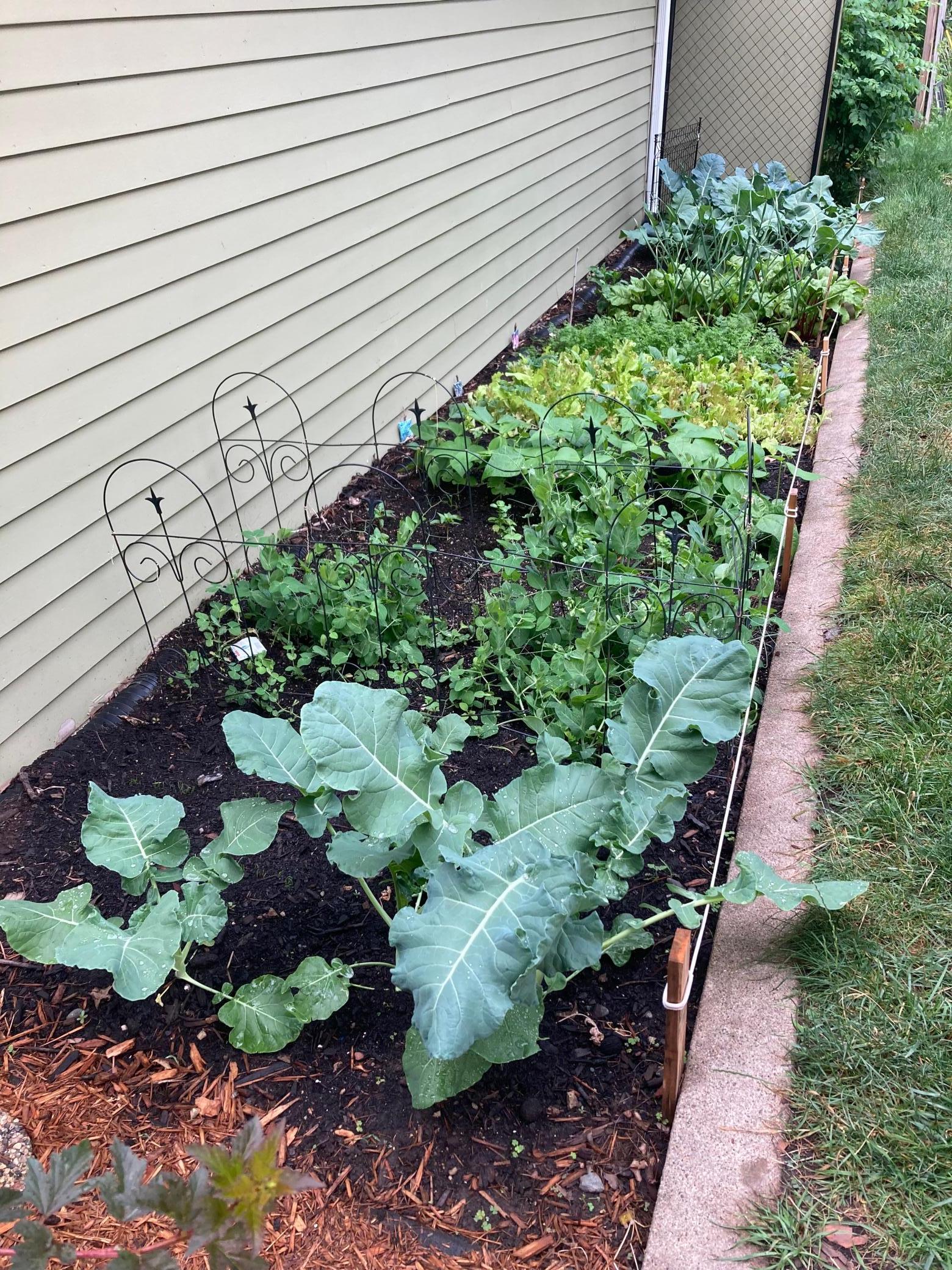 831 Central Avenue Red Wing, MN 55066 - Photo 31 of 59