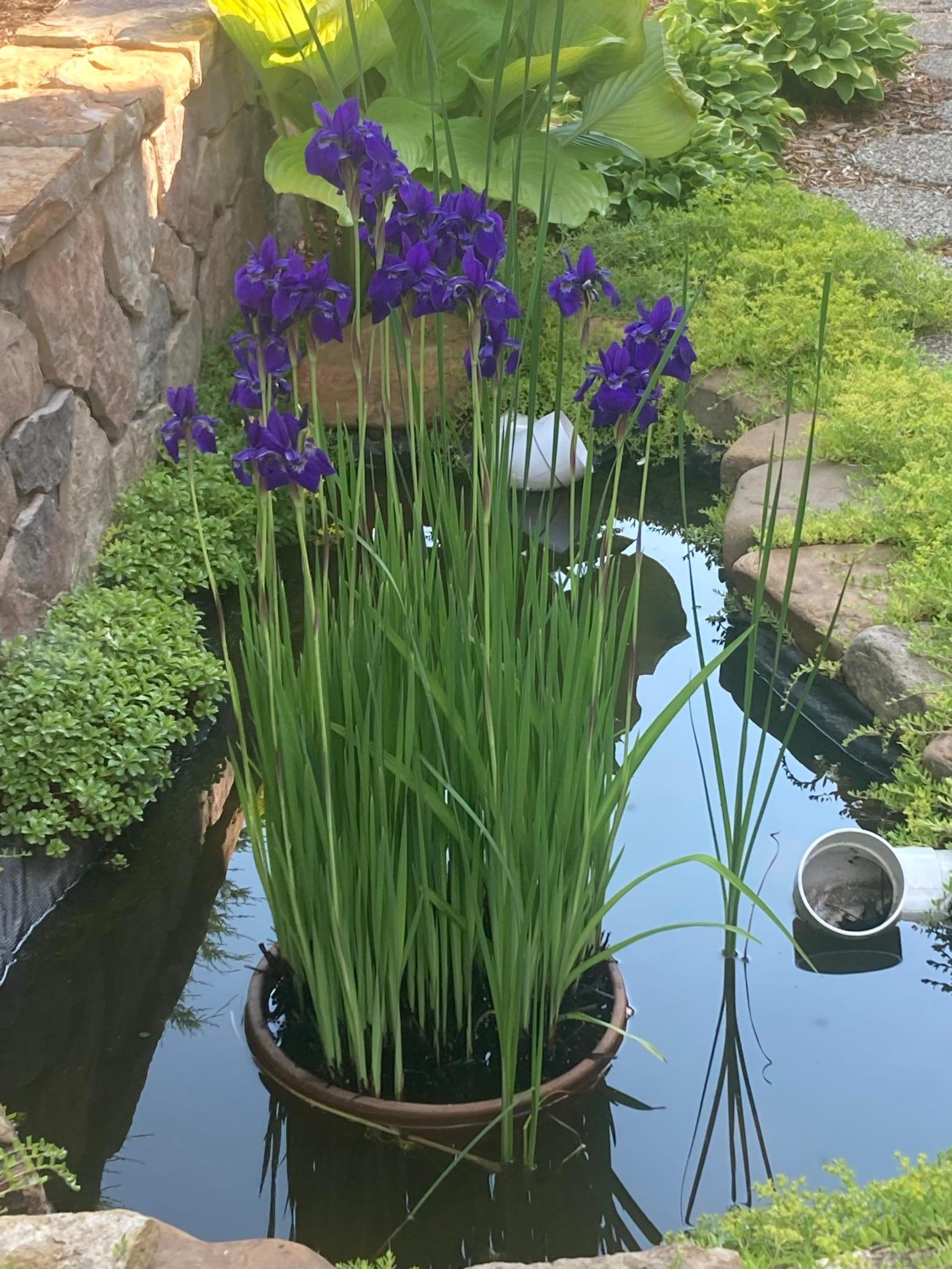 831 Central Avenue Red Wing, MN 55066 - Photo 32 of 59