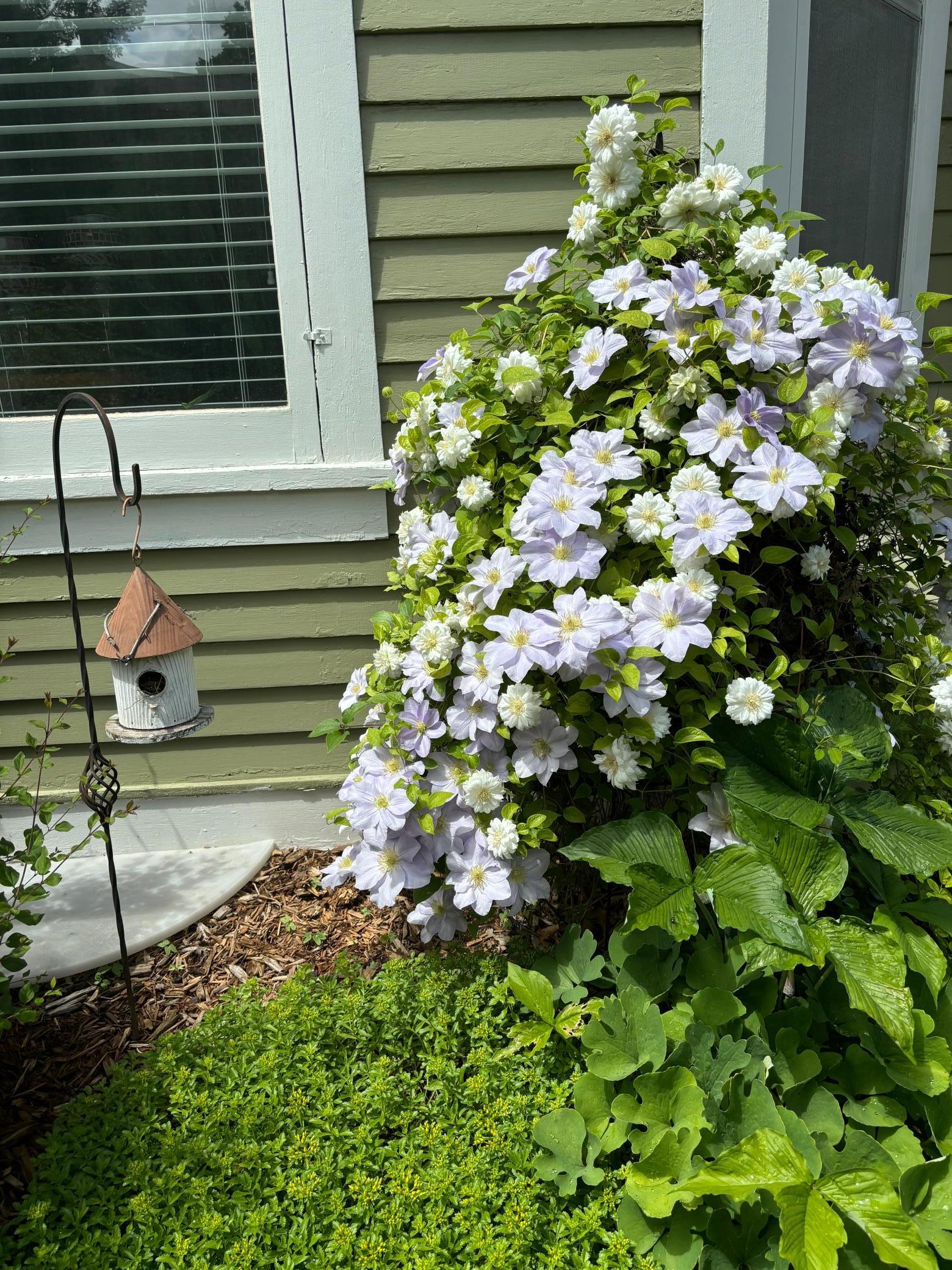 831 Central Avenue Red Wing, MN 55066 - Photo 45 of 59