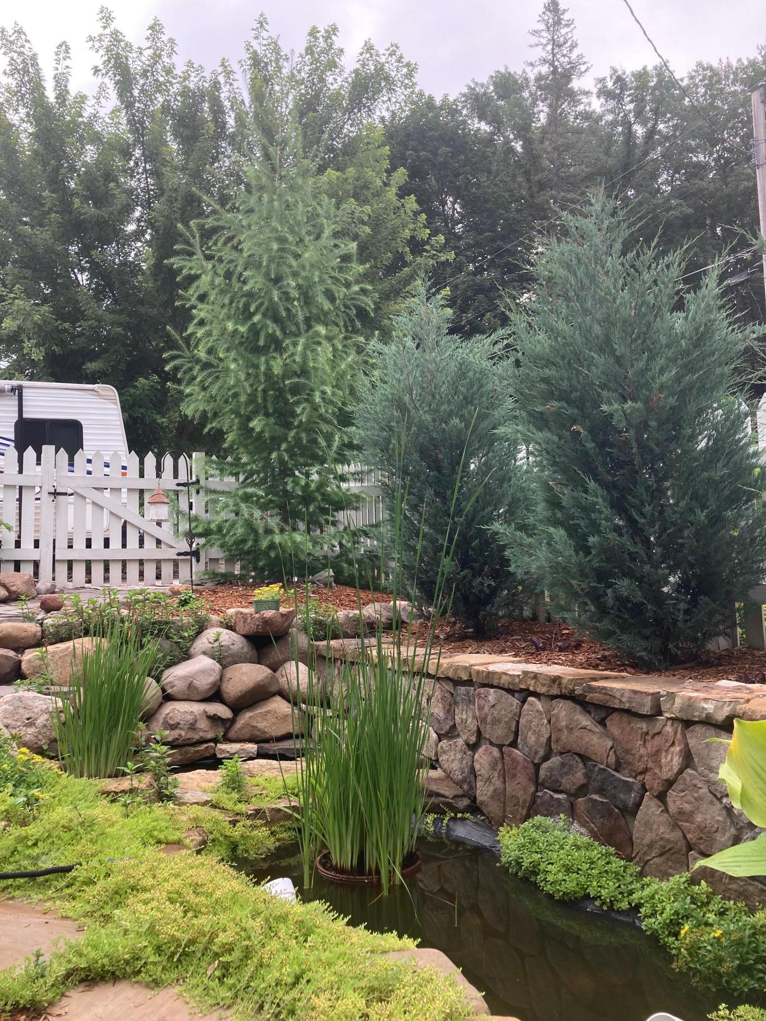 831 Central Avenue Red Wing, MN 55066 - Photo 52 of 59