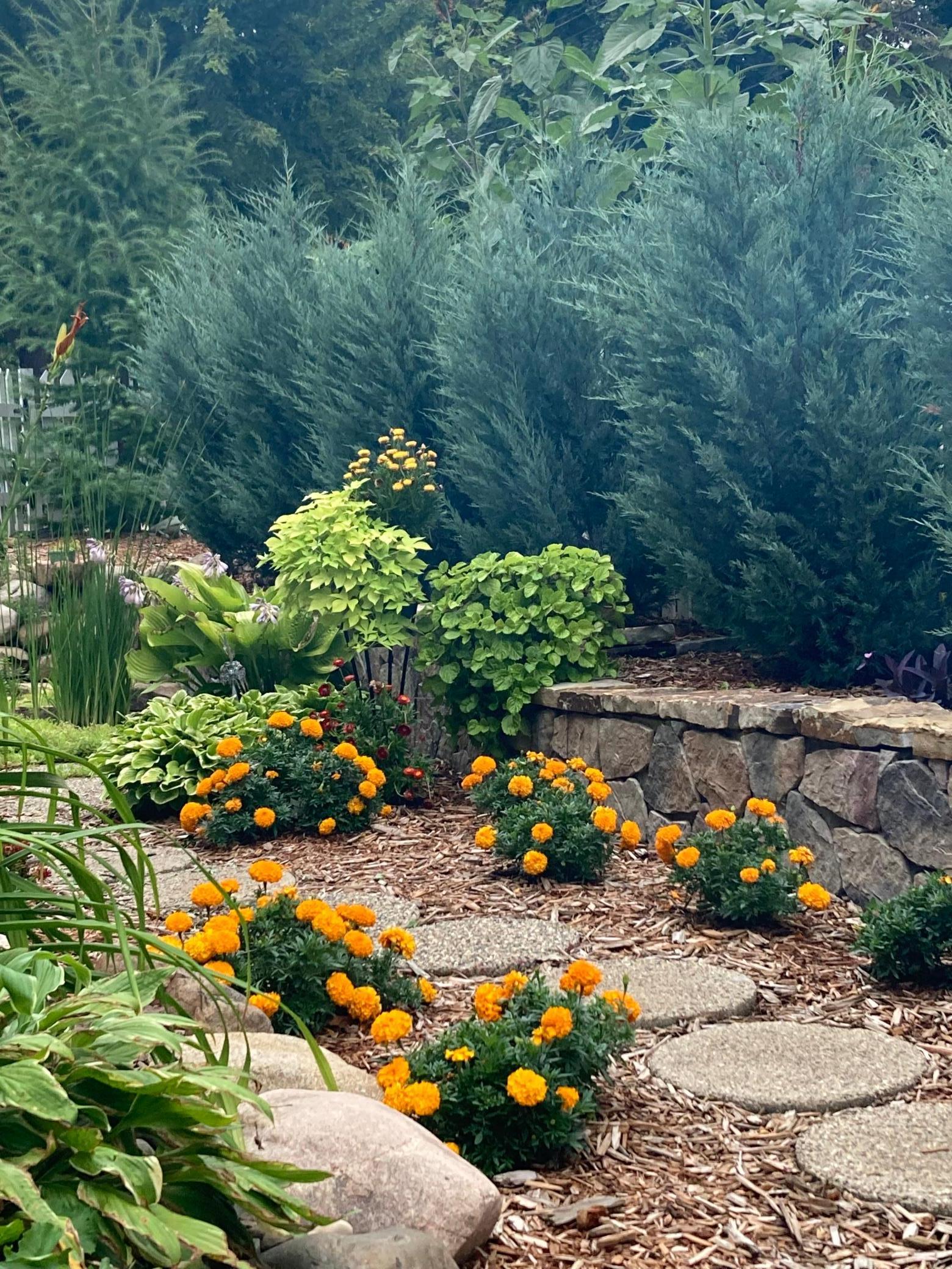 831 Central Avenue Red Wing, MN 55066 - Photo 54 of 59