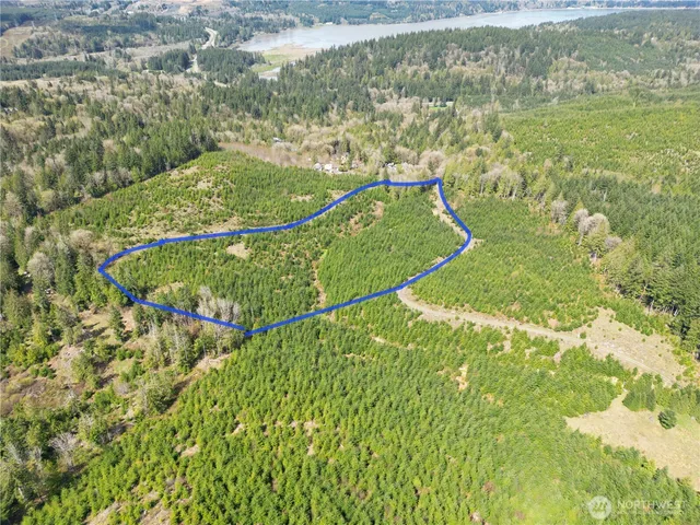 a view of a swimming pool