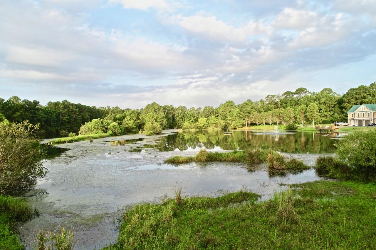 5830 Old Chisolm Road Johns Island, SC 29455 - Photo 22 of 100 DJI_0064