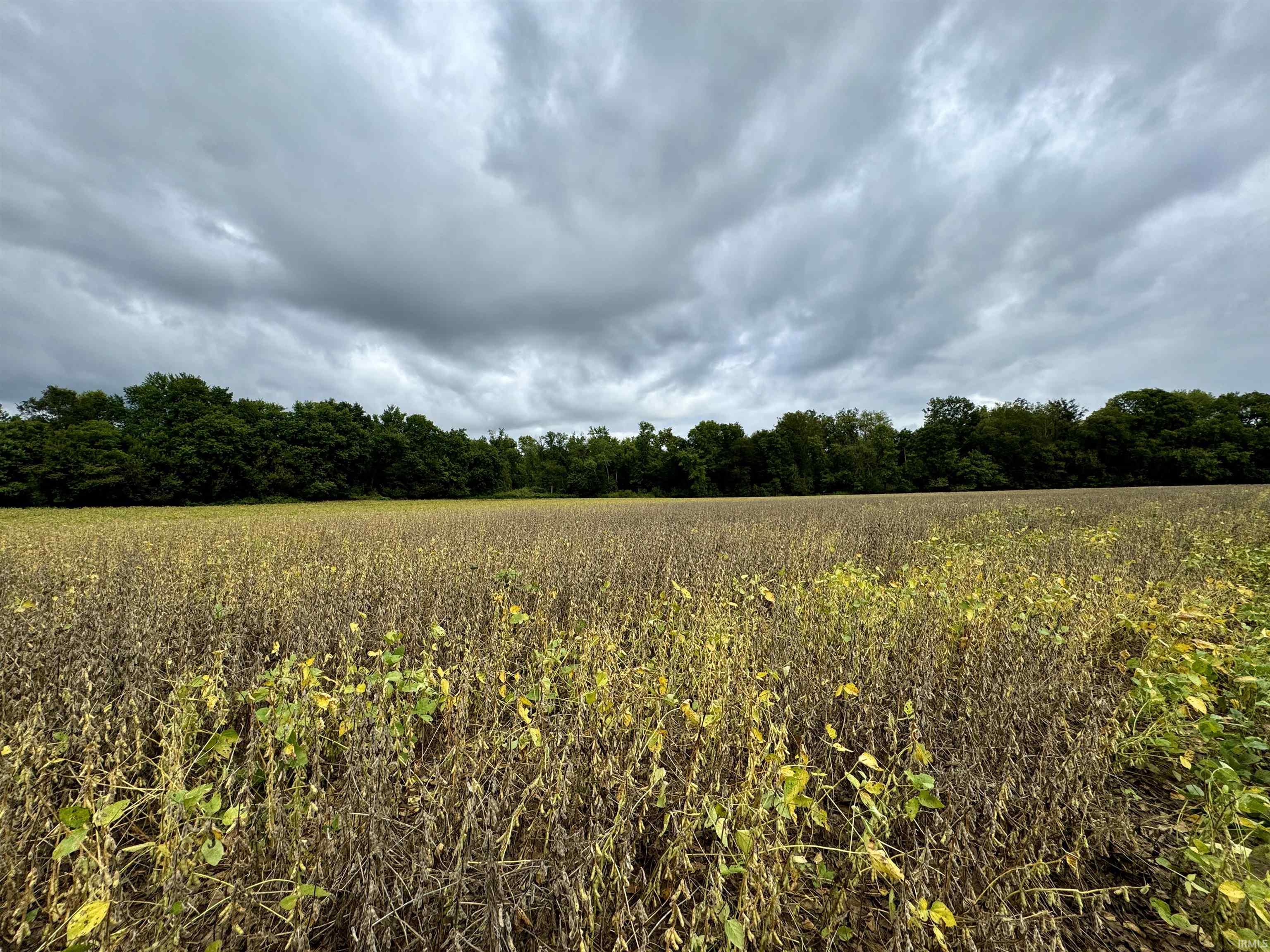 Off Off River Rockport, IN 47635 - Photo 11 of 36