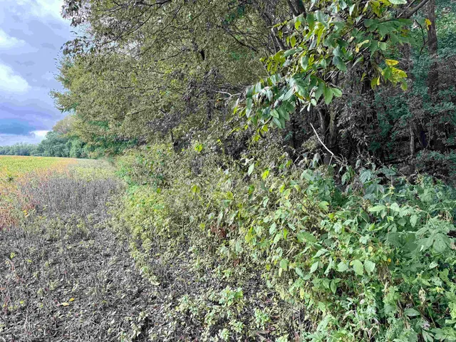 $249,900 | Off Off River, Rockport, IN 47635