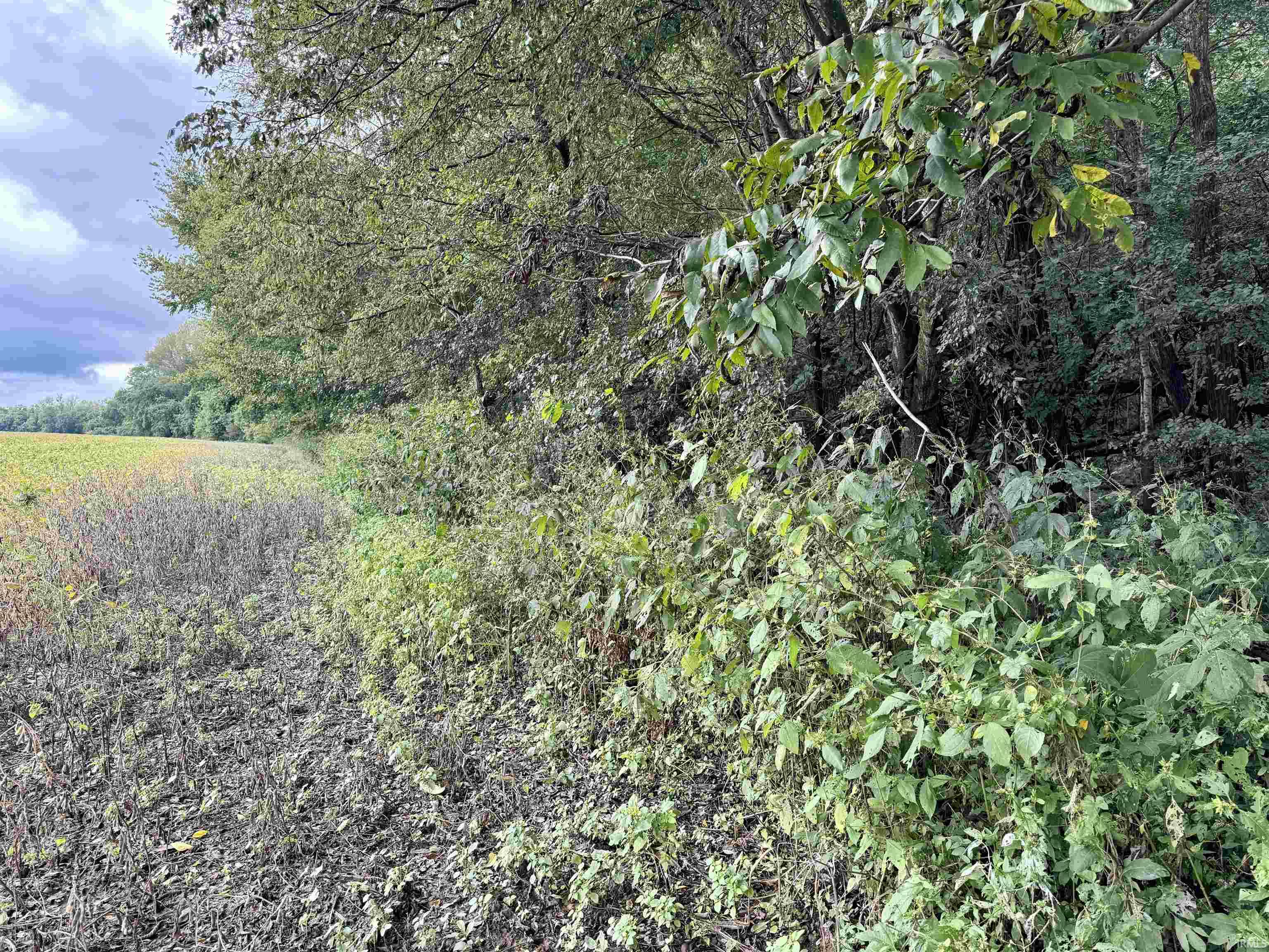 Off Off River Rockport, IN 47635 - Photo 12 of 36