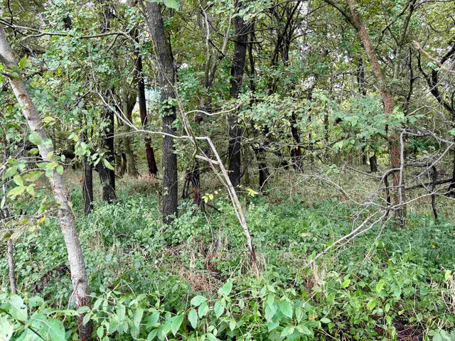 $249,900 | Off Off River, Rockport, IN 47635