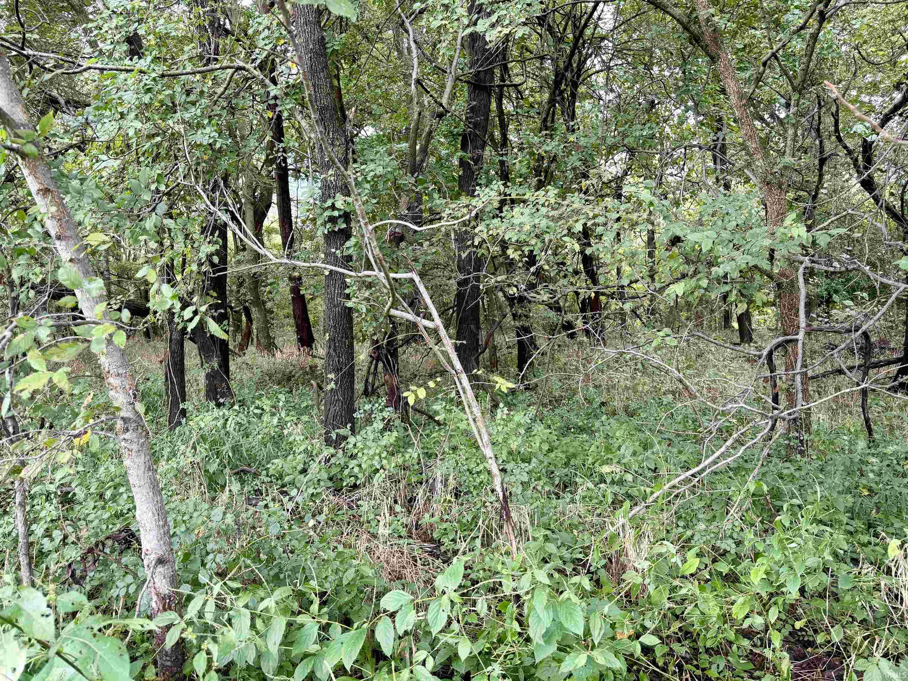 Off Off River Rockport, IN 47635 - Photo 14 of 36