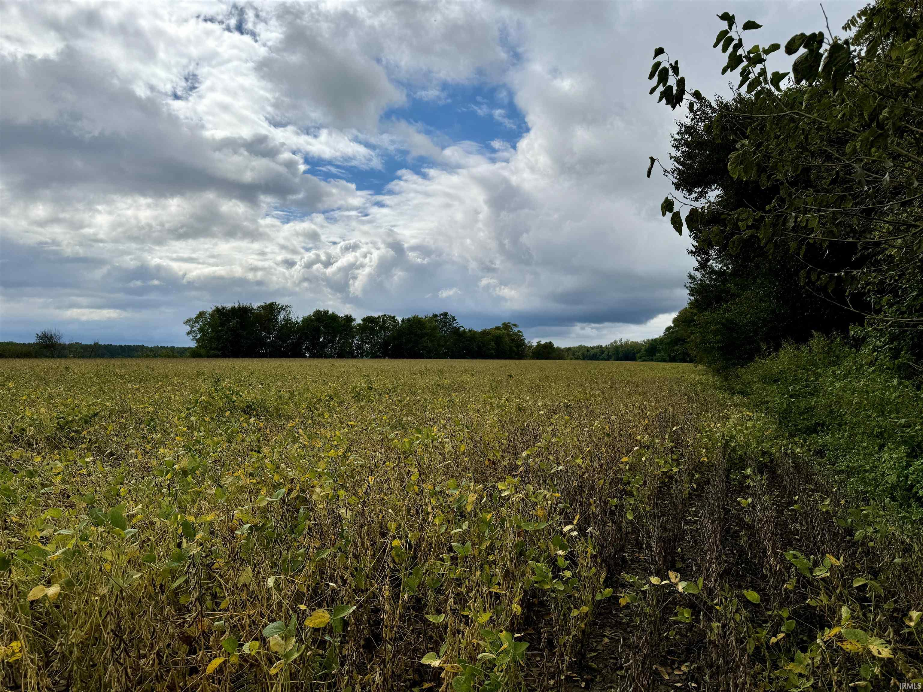 Off Off River Rockport, IN 47635 - Photo 15 of 36