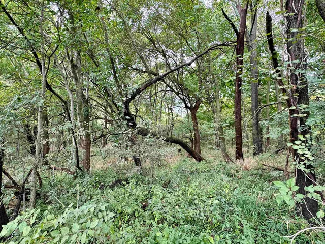 $249,900 | Off Off River, Rockport, IN 47635