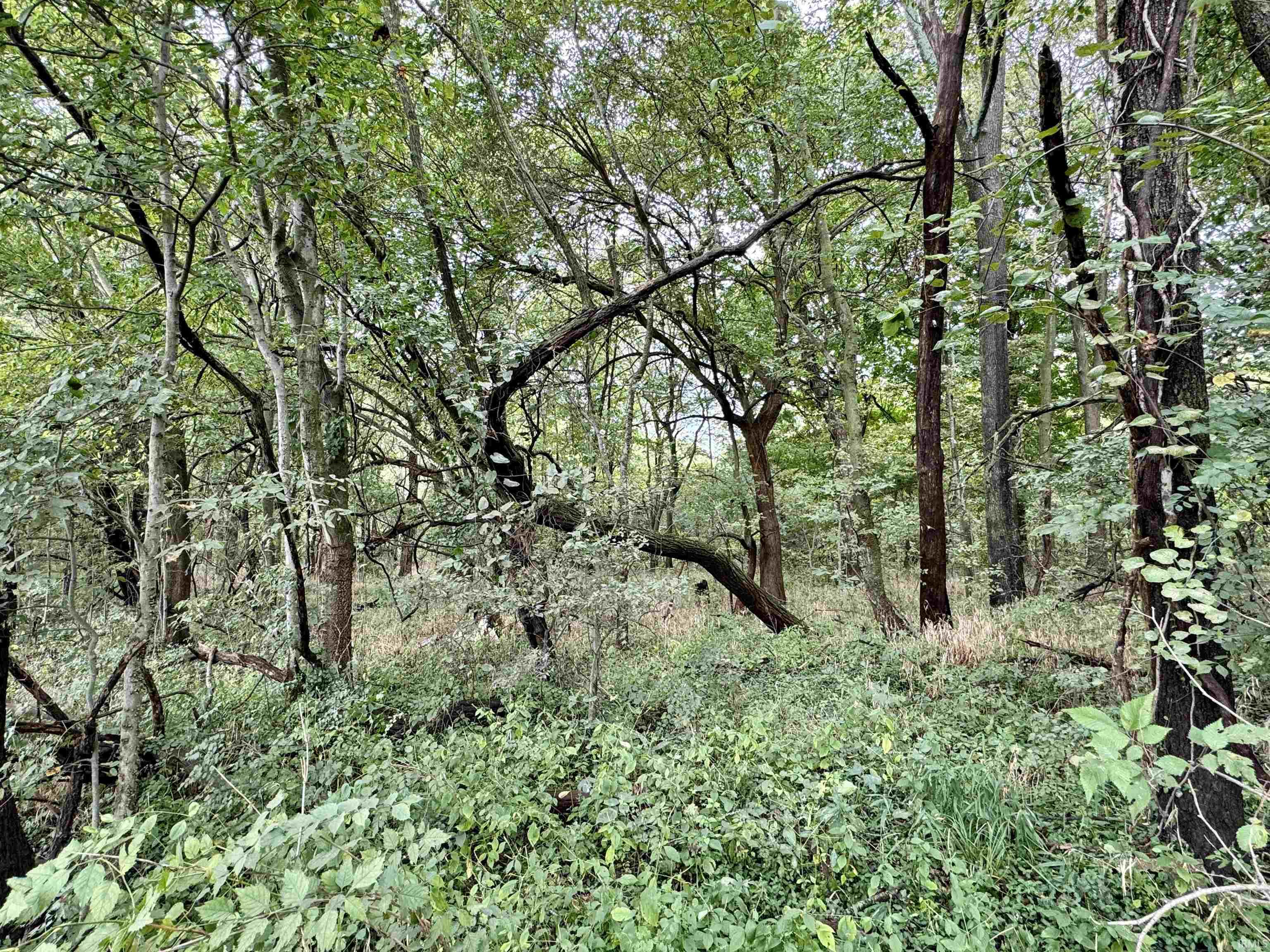 Off Off River Rockport, IN 47635 - Photo 18 of 36