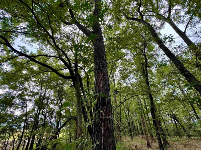 $249,900 | Off Off River, Rockport, IN 47635