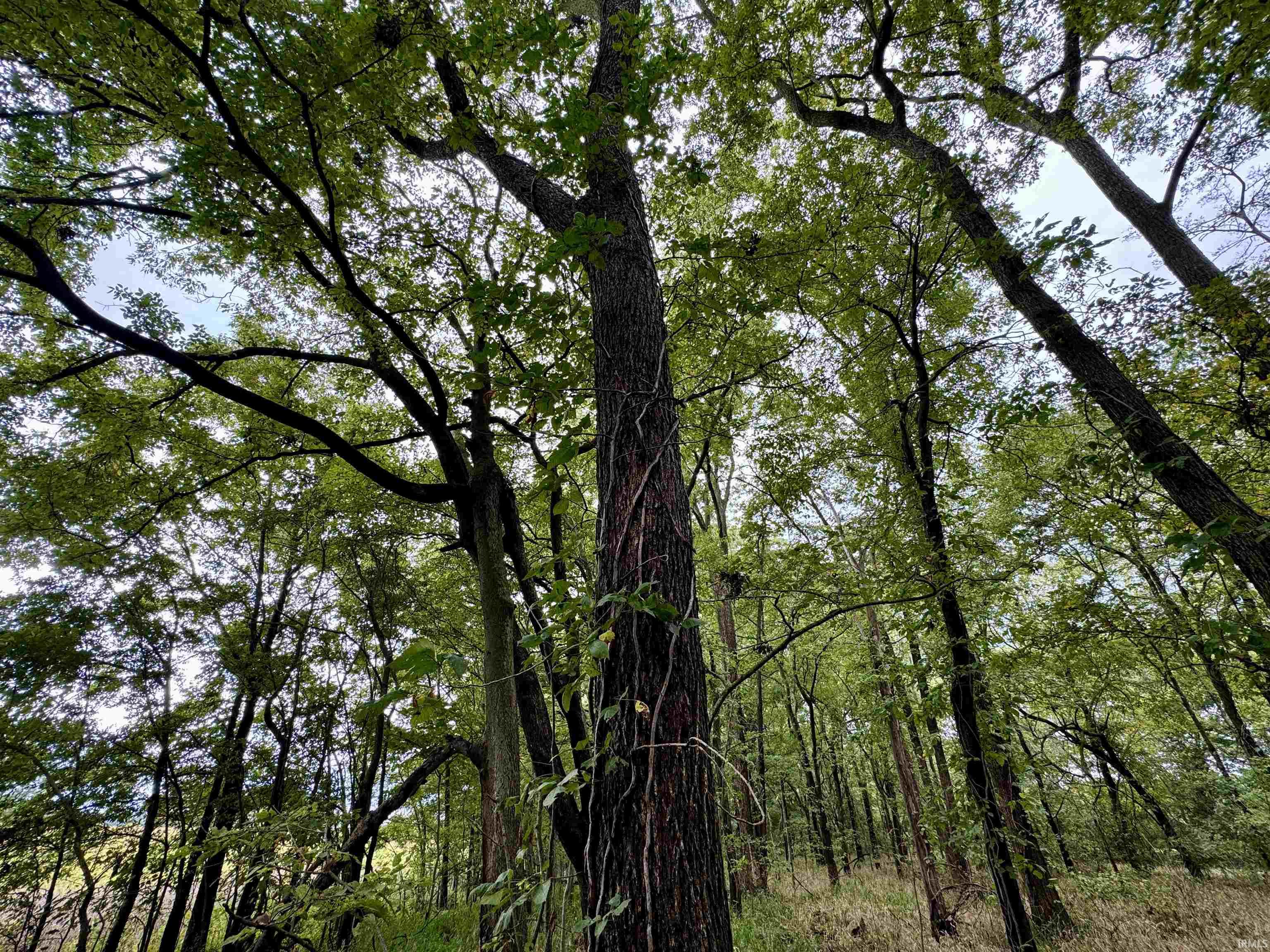 Off Off River Rockport, IN 47635 - Photo 19 of 36