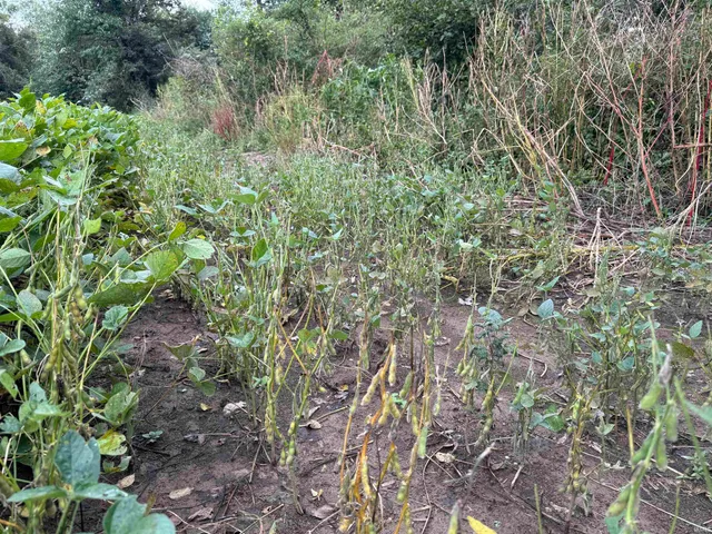 $249,900 | Off Off River, Rockport, IN 47635