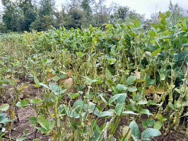 $249,900 | Off Off River, Rockport, IN 47635