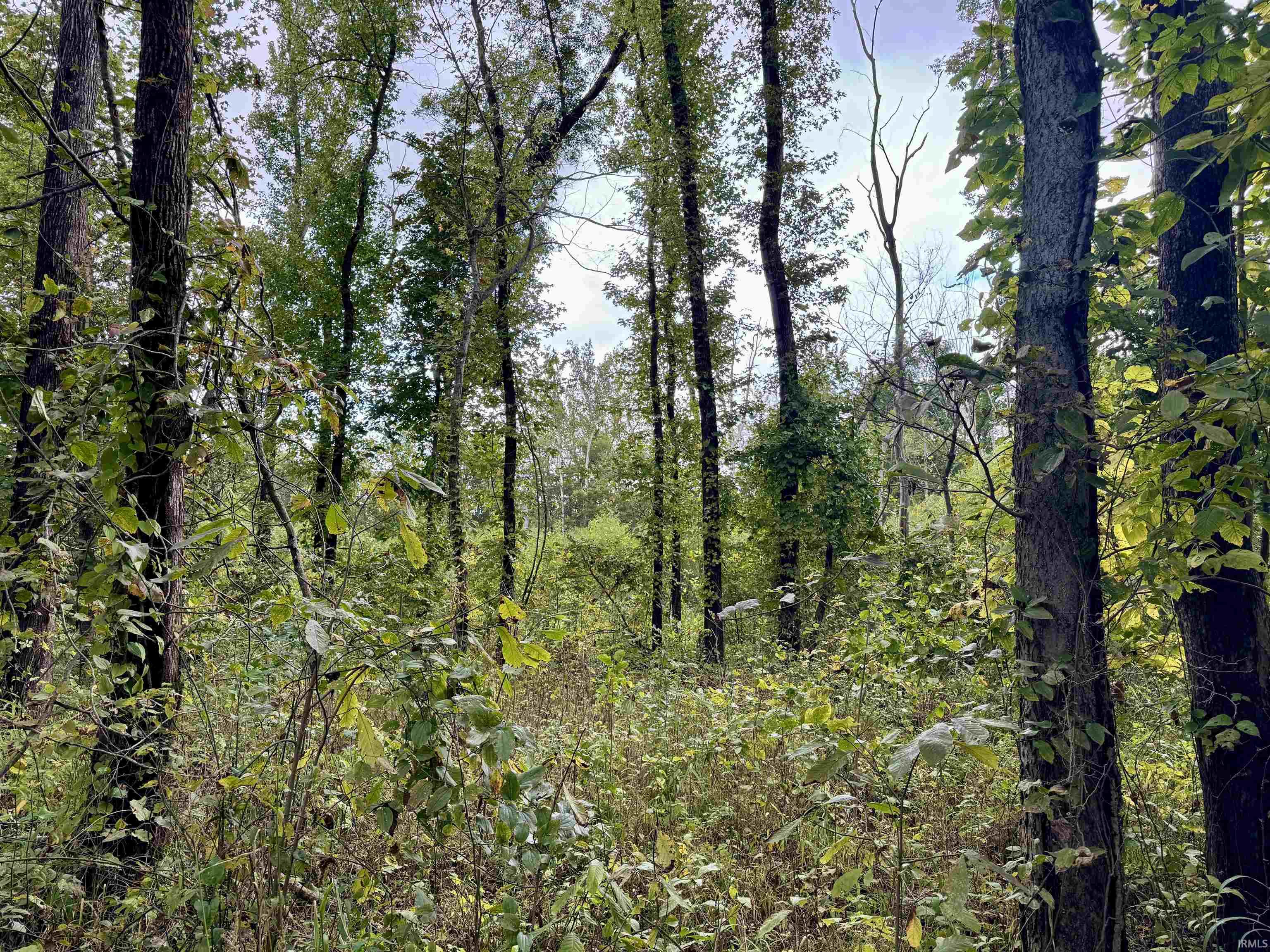 Off Off River Rockport, IN 47635 - Photo 28 of 36