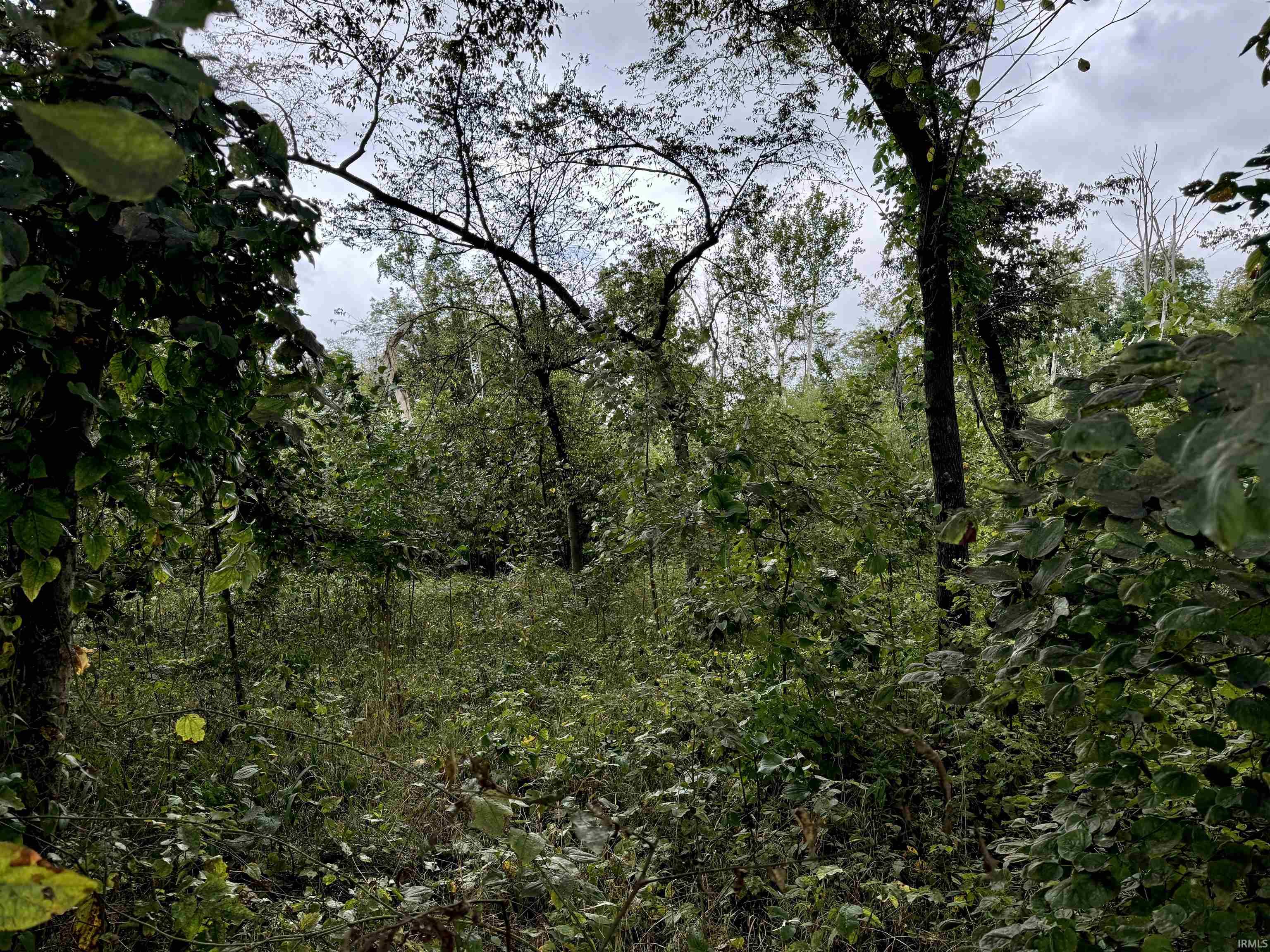 Off Off River Rockport, IN 47635 - Photo 29 of 36