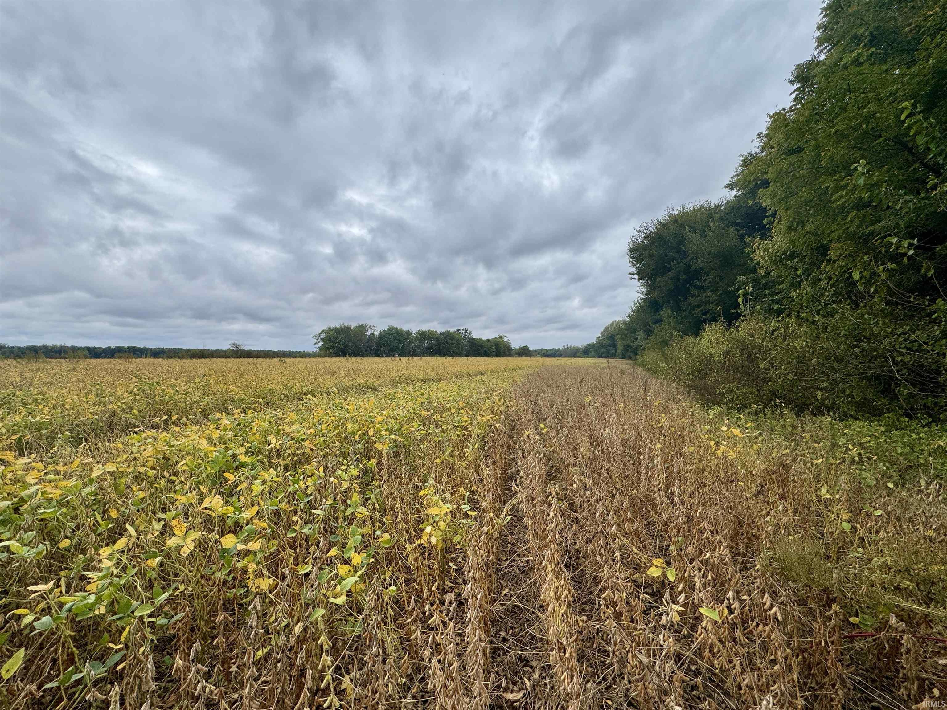 Off Off River Rockport, IN 47635 - Photo 32 of 36