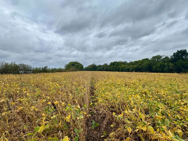 $249,900 | Off Off River, Rockport, IN 47635