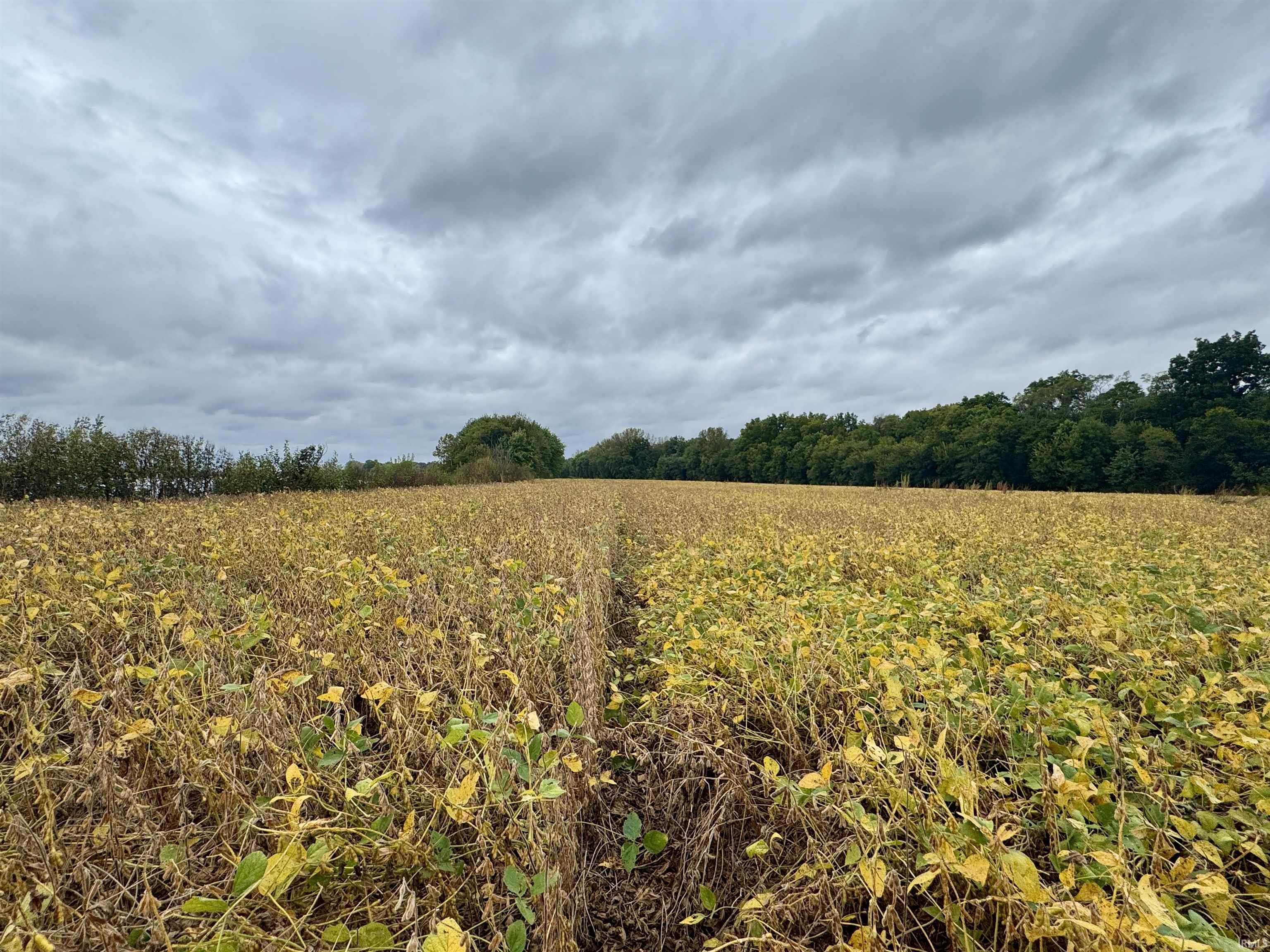 Off Off River Rockport, IN 47635 - Photo 33 of 36