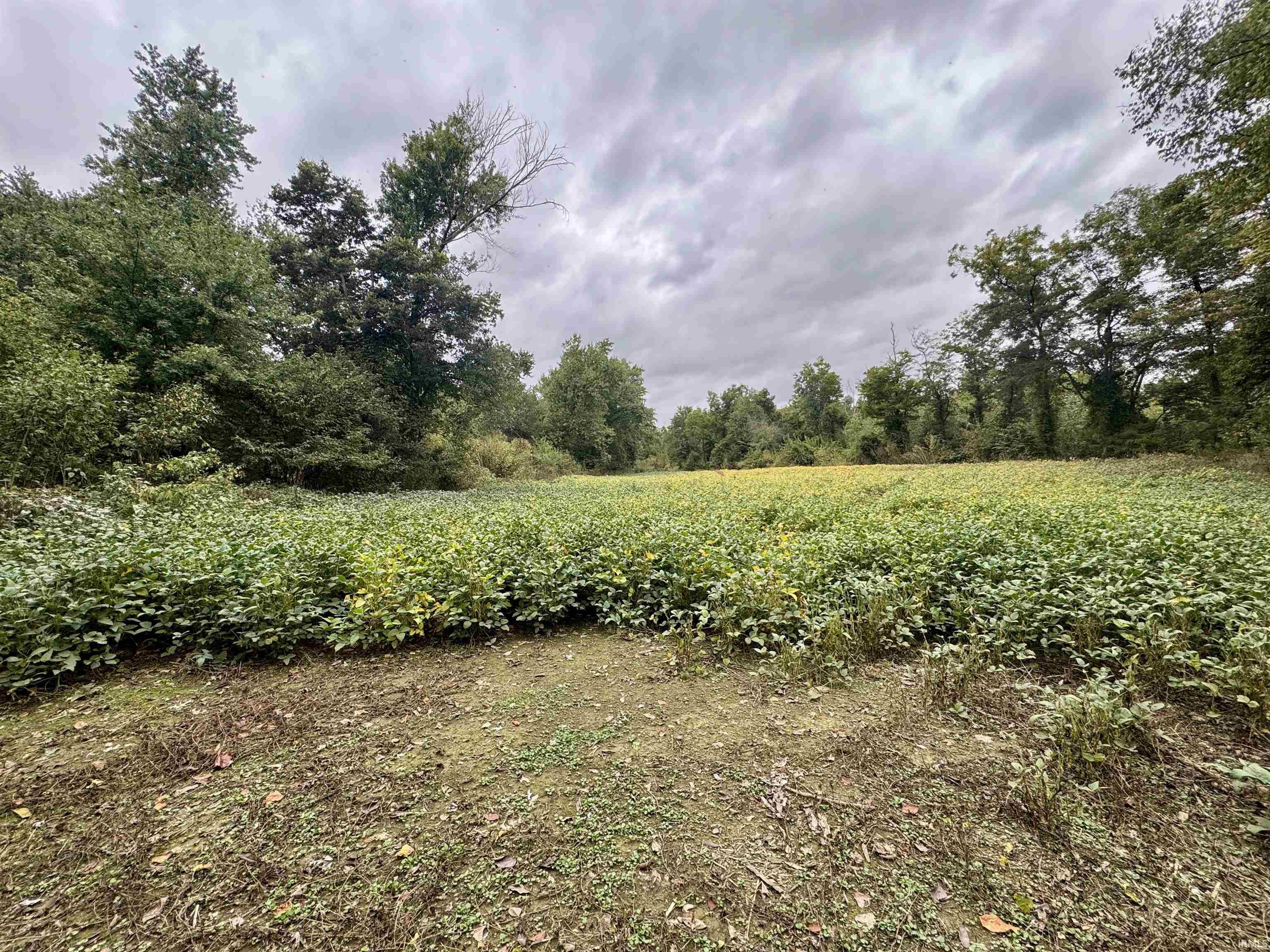 Off Off River Rockport, IN 47635 - Photo 35 of 36