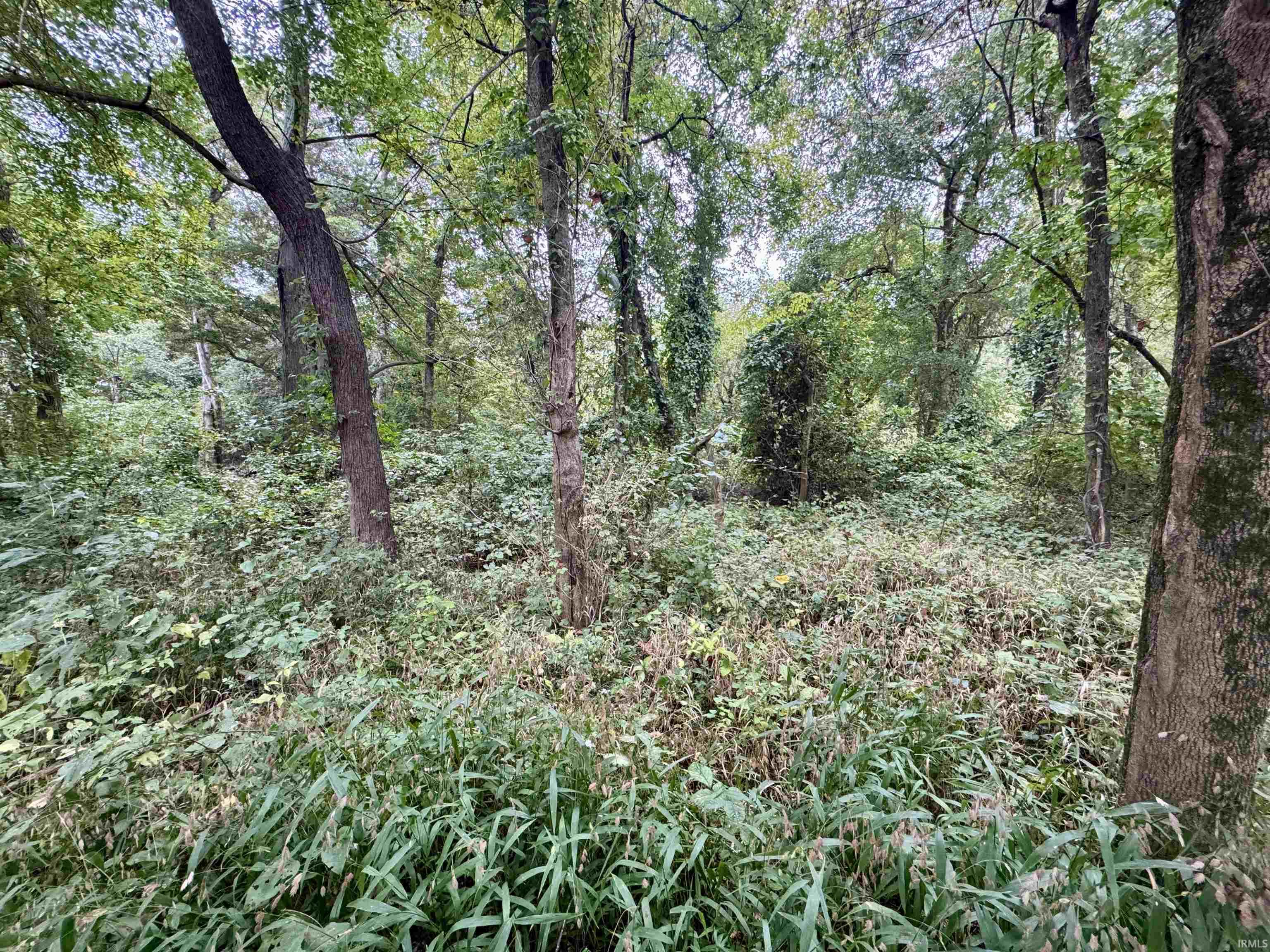 Off Off River Rockport, IN 47635 - Photo 36 of 36