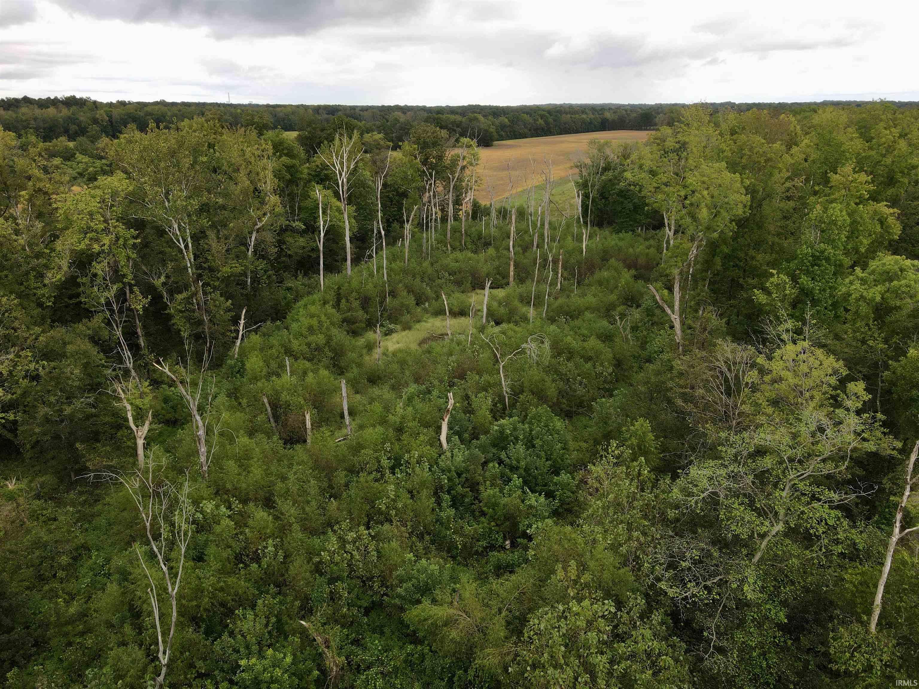Off Off River Rockport, IN 47635 - Photo 8 of 36