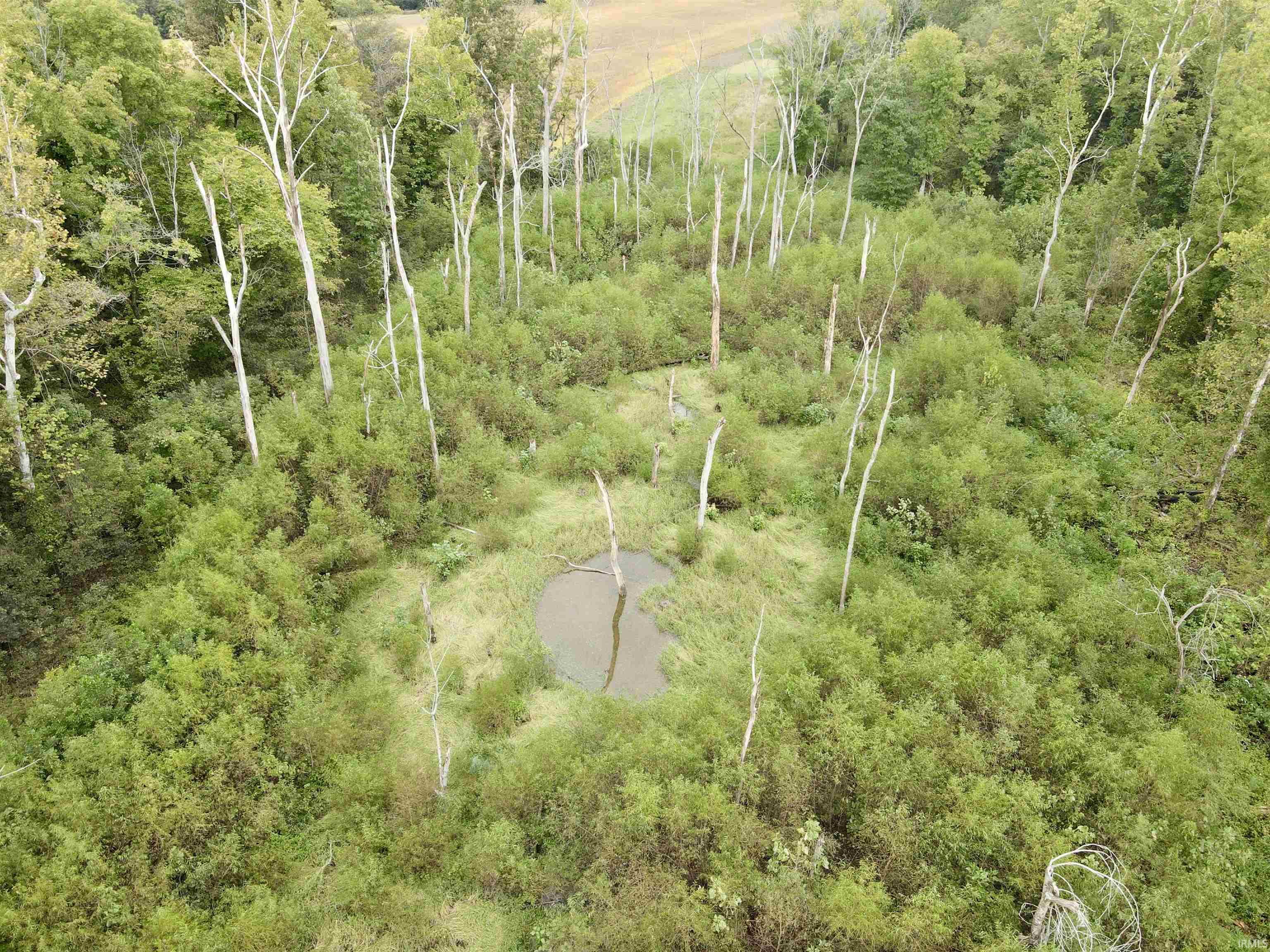 Off Off River Rockport, IN 47635 - Photo 9 of 36