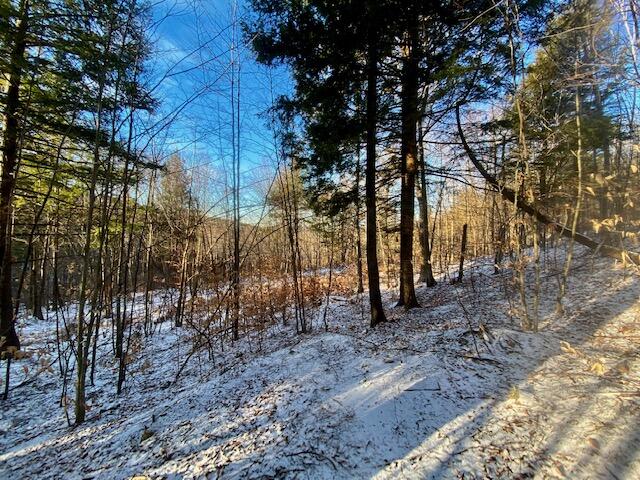 38 Q Post Ridge Hiram, ME 04041 - Photo 4 of 11 IMG_6809