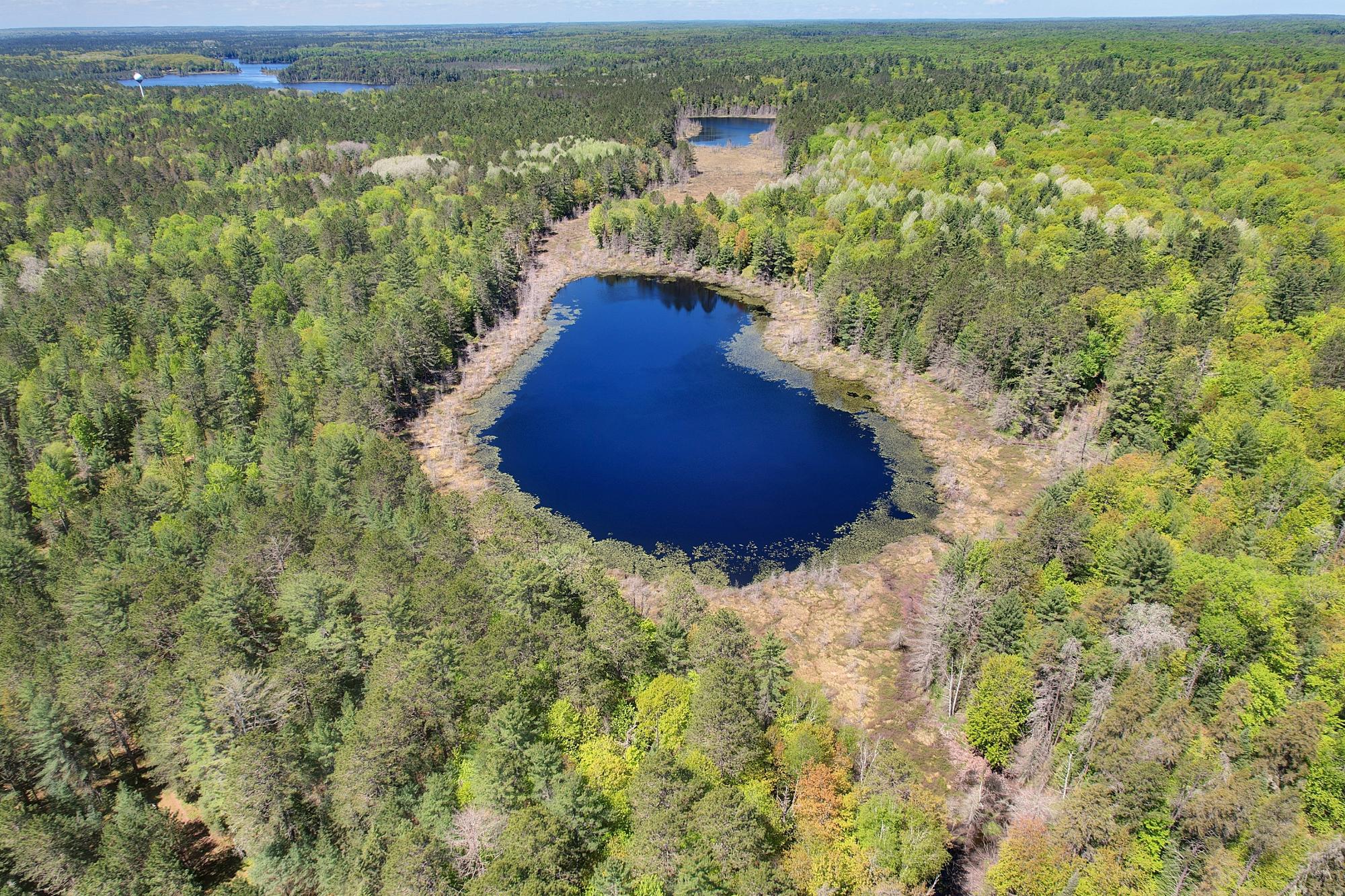 On Duck Lake Road Watersmeet, MI 49969 - Photo 3 of 8 Gallery Image 3