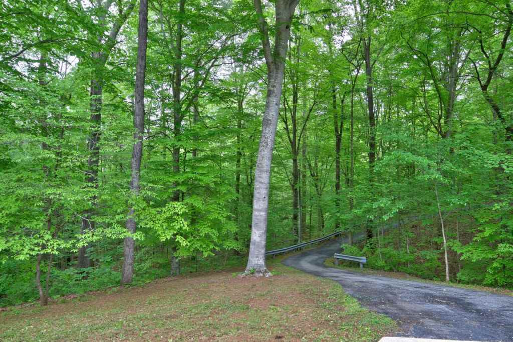 7908 Tulip Circle Raleigh, NC 27606 - Photo 19 of 24 Photo 19