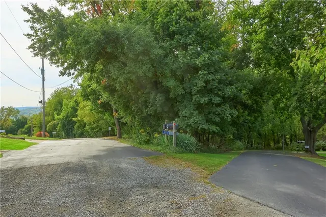 a view of a field with trees in background