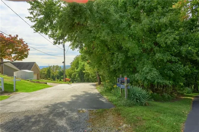 a view of a grassy field with trees