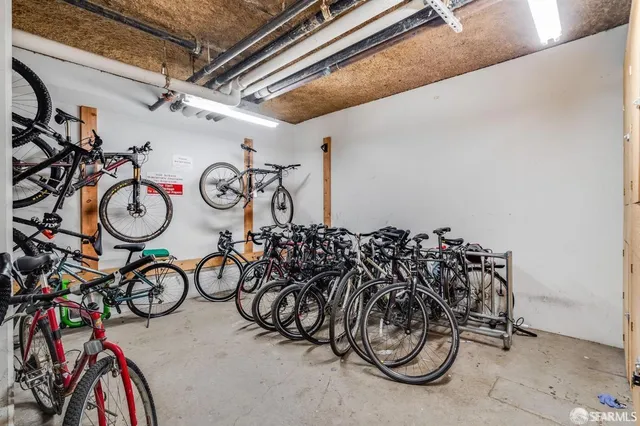a view of road with large trees