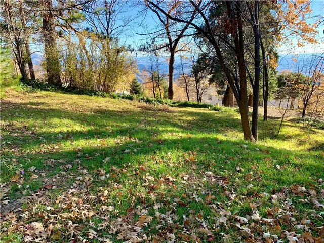 a view of backyard with tree