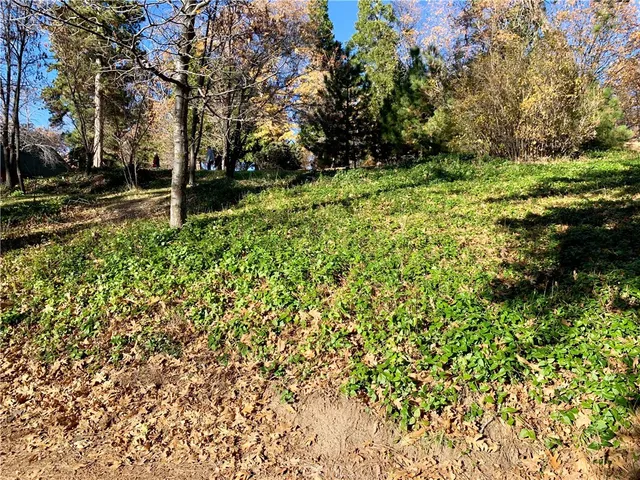 $30,000 | 40 Park Running Springs, Running Springs, CA 92382