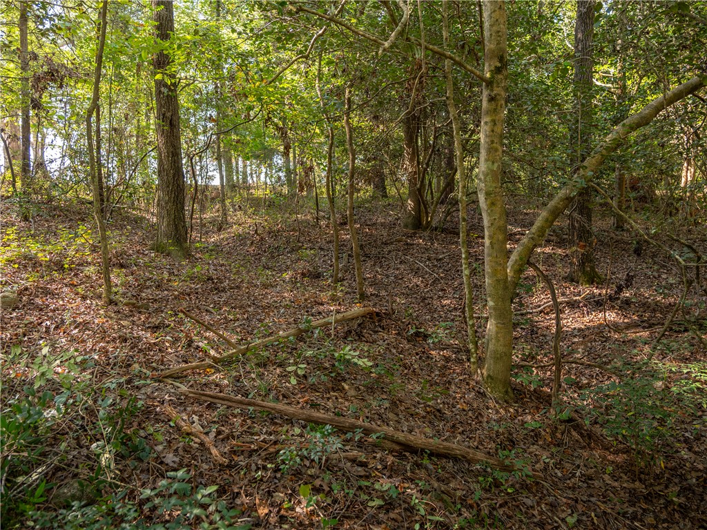 4 Gibson Road Anderson, SC 29625 - Photo 11 of 16