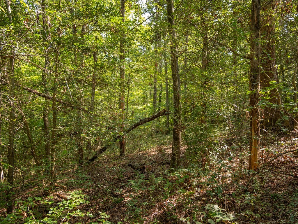 4 Gibson Road Anderson, SC 29625 - Photo 12 of 16